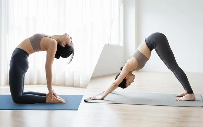 基礎から学ぶ前屈と後屈